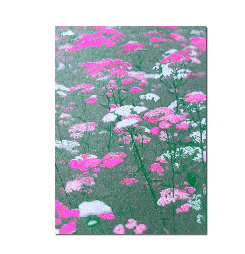 Herr und Frau Rio Postkarte Blumenwiese Pink , Risographie Postkarte
