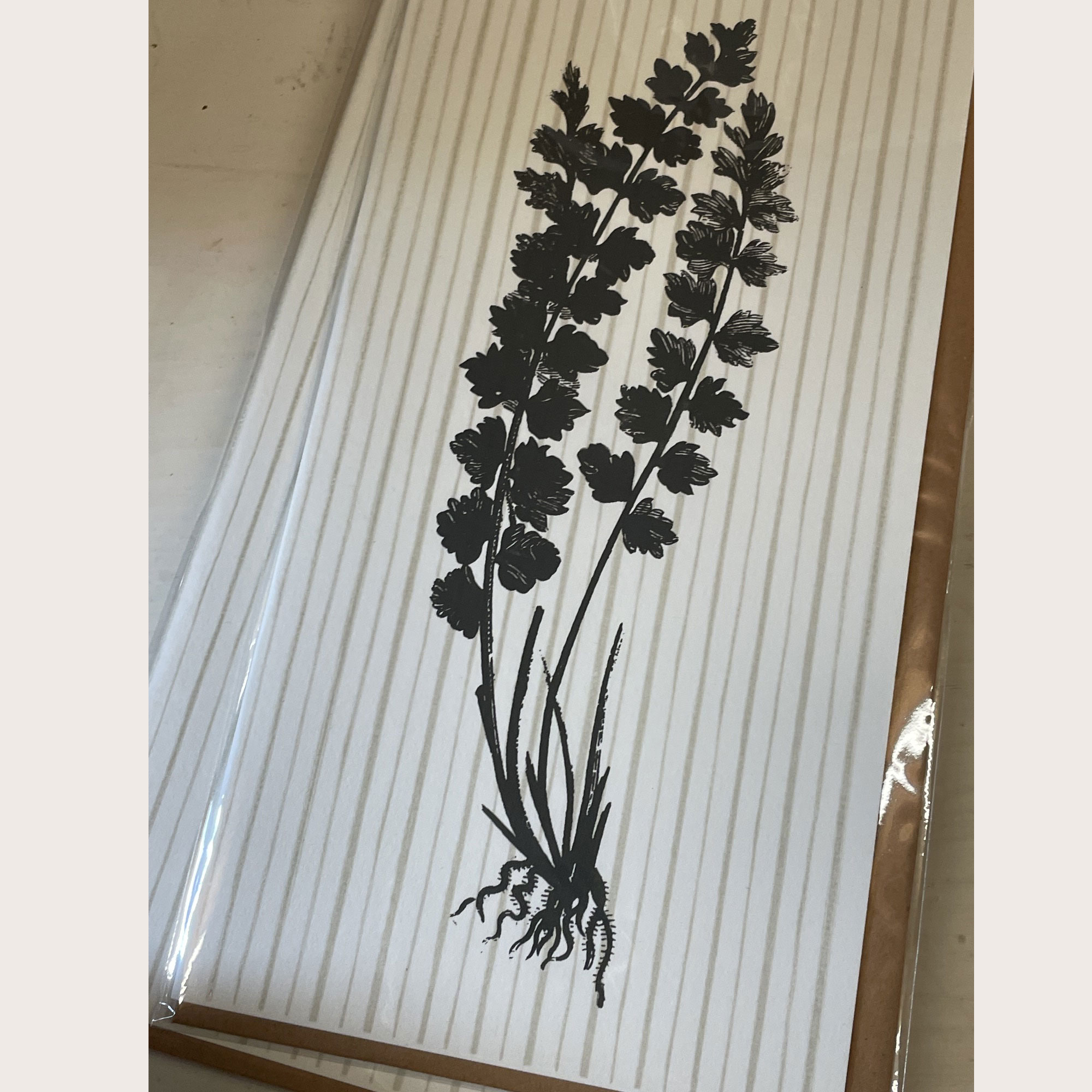 Dorothee Lehnen Briefkarte Asplenium, handgedruckt, DIN lang von Dorothee Lehnen