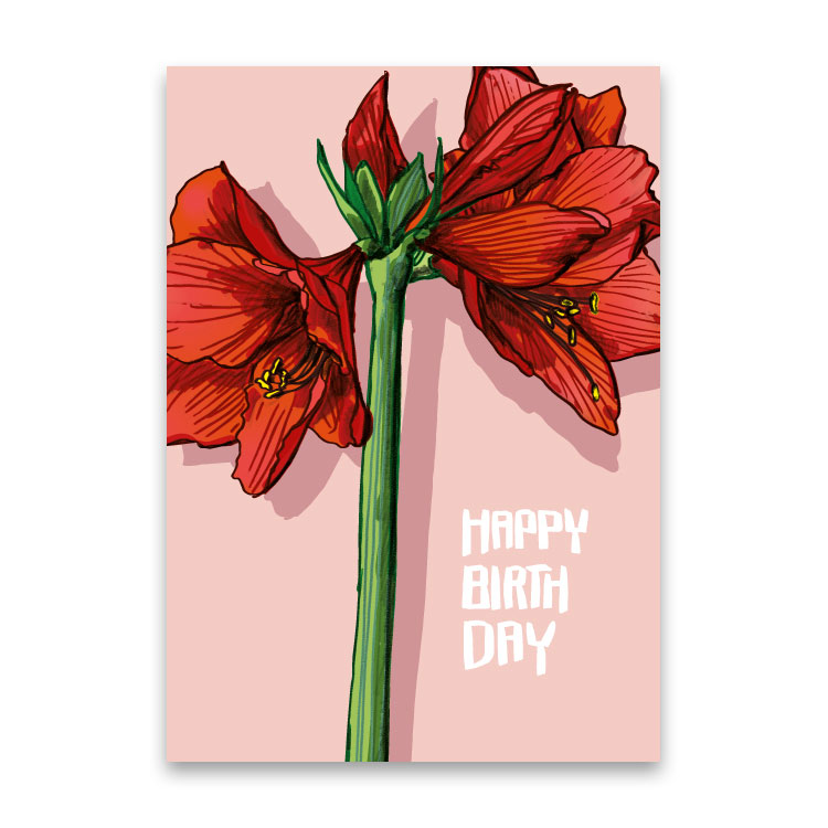 Postkarte AMATA Amaryllis Happy Birthday von illi , Holzschliffpappe  