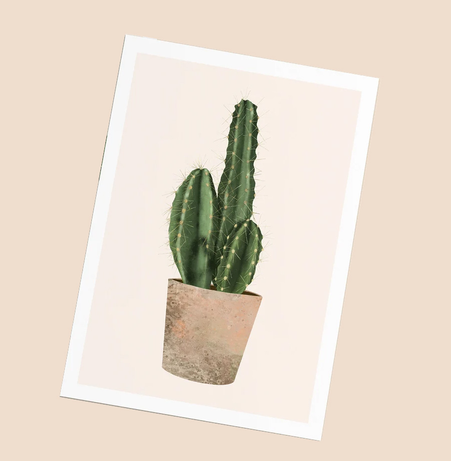 Postkarte Kaktus von Daniela Sattler , Zimmerpflanze :-)