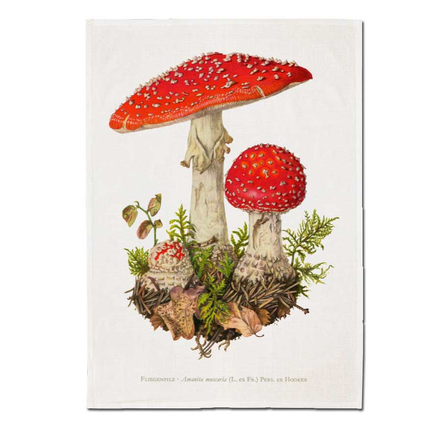 Sköna Ting Geschirrtuch "Fliegenpilz" ,  ca.50 x 70 cm, Baumwolle    