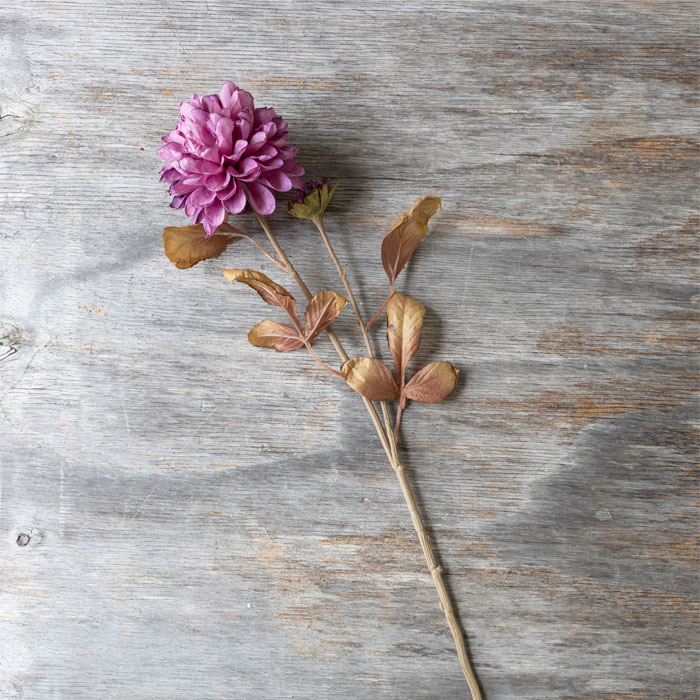 % Dahlie  Deko, Länge  ca. 22 cm, Abigail Ahern Dahlia Mallow. Kunstblume