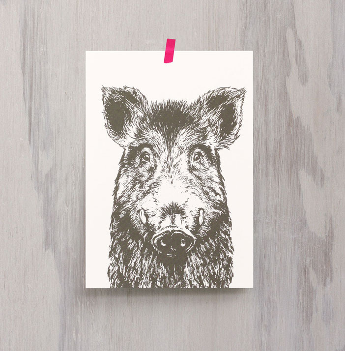 Frohstoff Postkarte Keiler/ Wildsau olivgrau