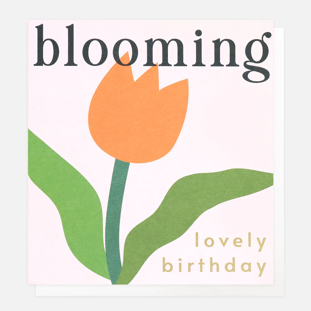 Caroline Gardner Doppelkarte "BLOOMING LOVELY BIRTHDAY ORANGE TULIP"Geburtstagskarte , FWP011