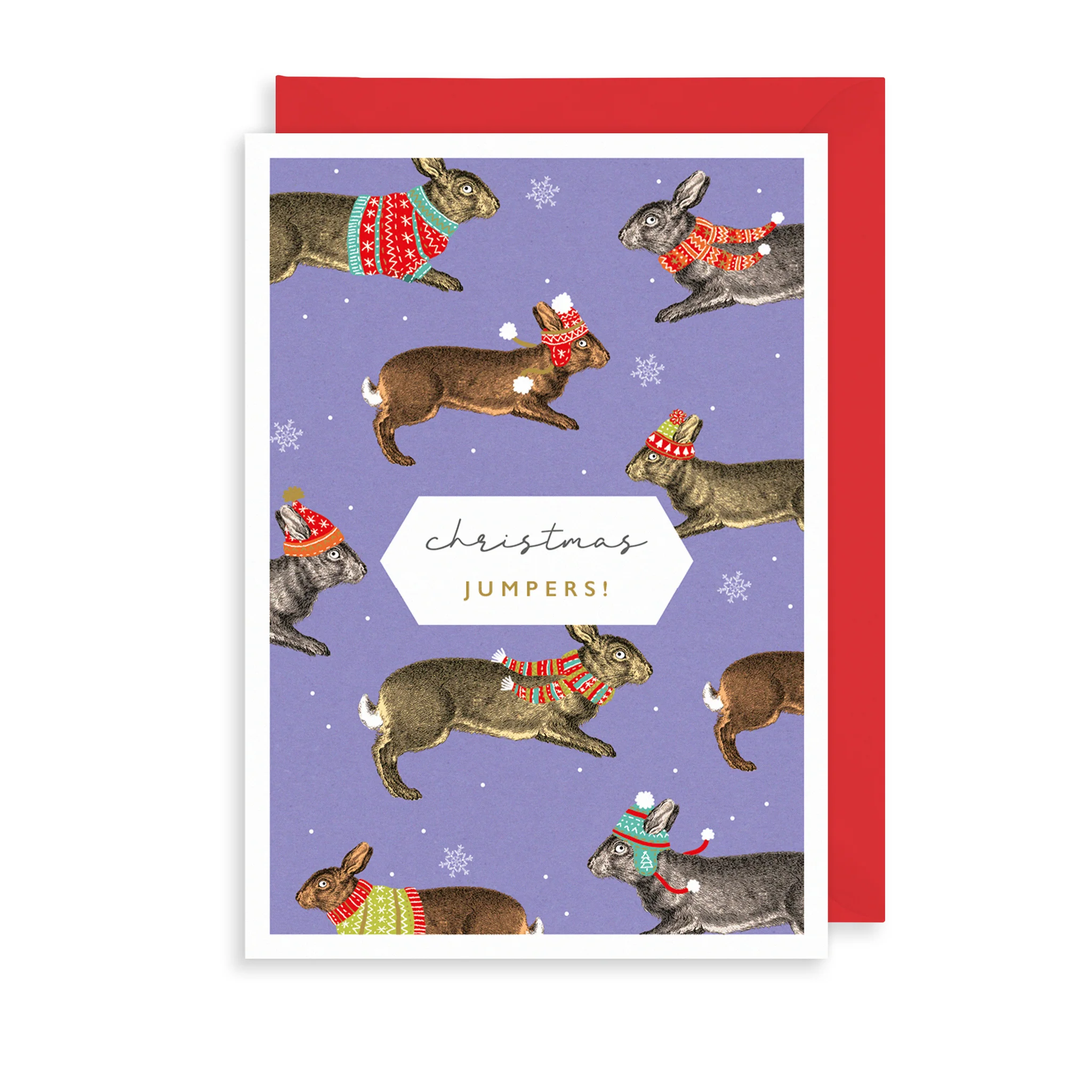 Doppelkarte  Weihnachten "Festive Jumpers  "Hasen von The Art File