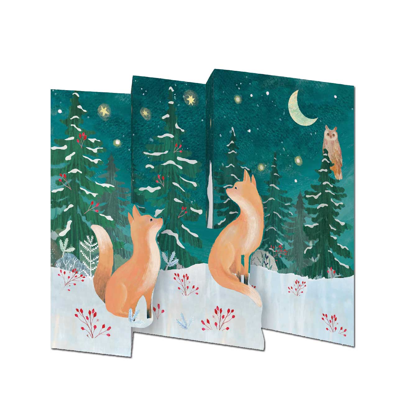 Roger la Borde Doppelkarte "Wiese im Mondschein" 5er Set, Weihnachtskarten