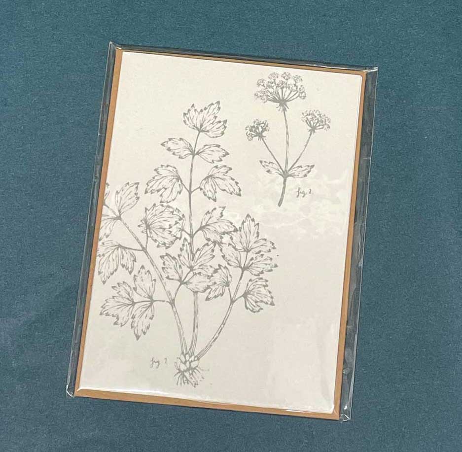 Dorothee Lehnen Briefkarte kl "Dill", handgedruckt    