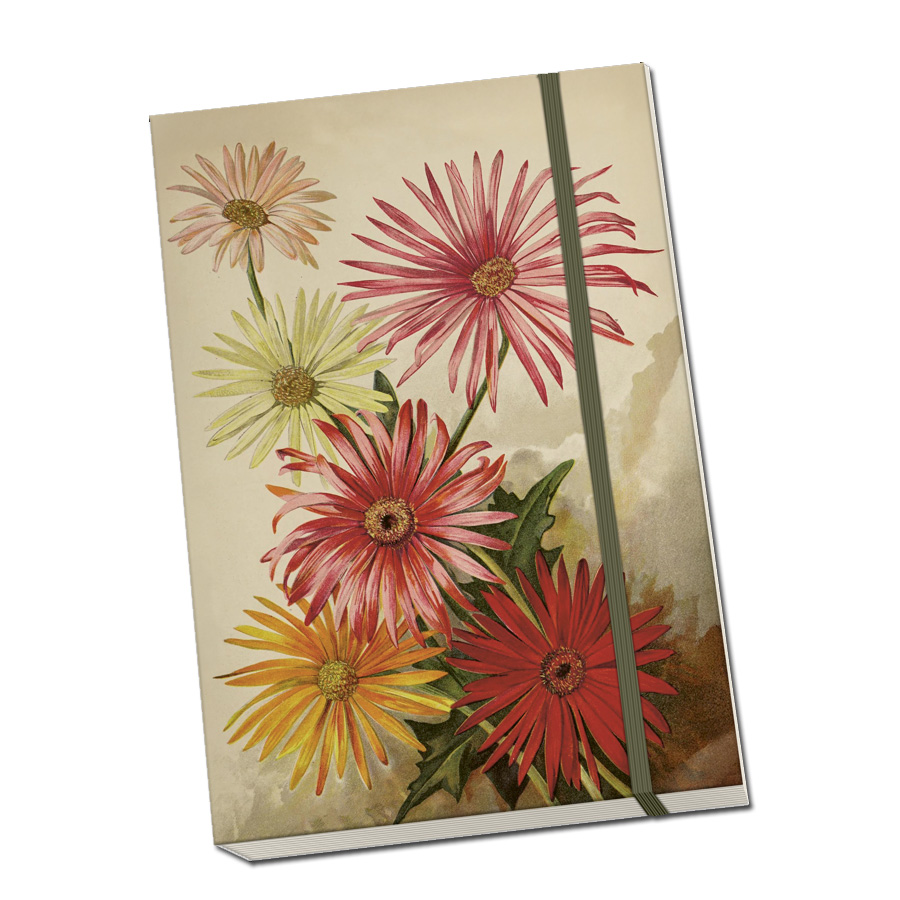 Sköna Ting Notizbuch A5 "Autumn Plants, Gerbera" 96 Blatt, mit Gummiband aus Schweden, Herbstblumen