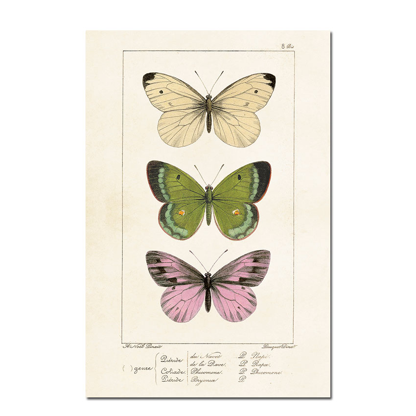 Postkarte Sköna Ting Vintage  Schmetterlinge