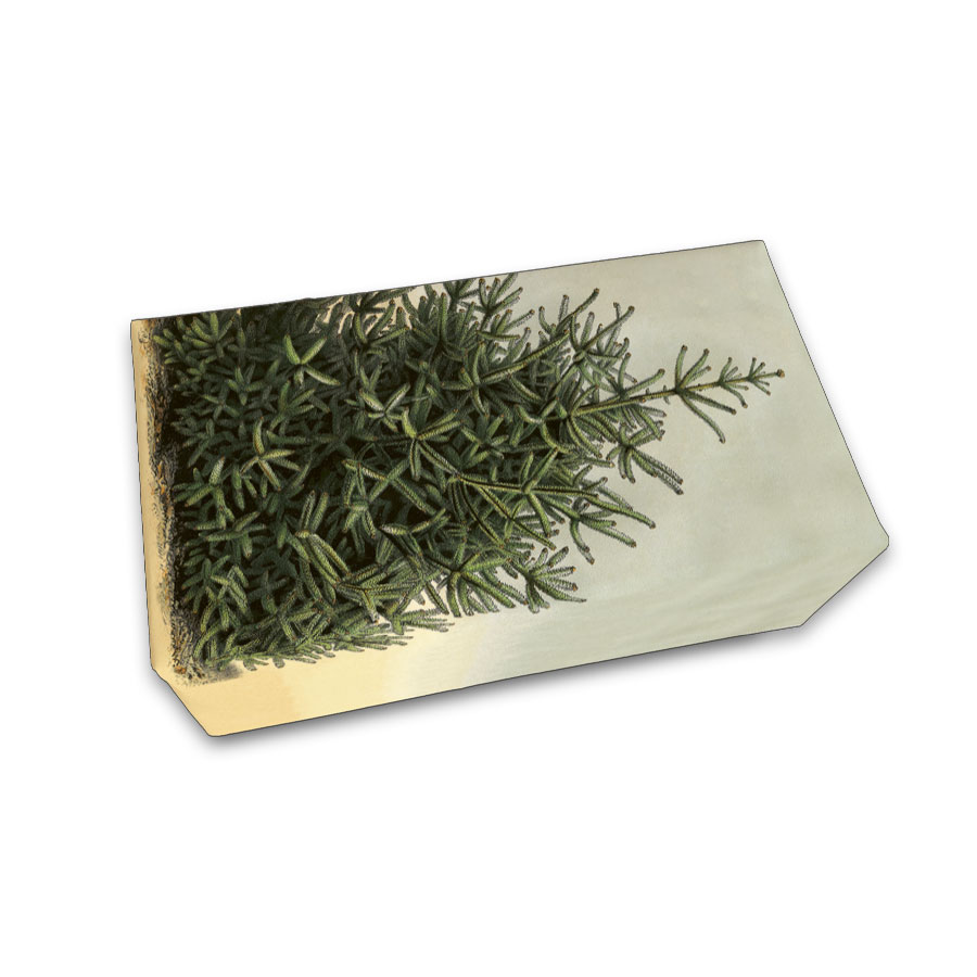 Sköna Ting Seife " Tannenbaum", Vanilleduft, 200 g aus Schweden 
