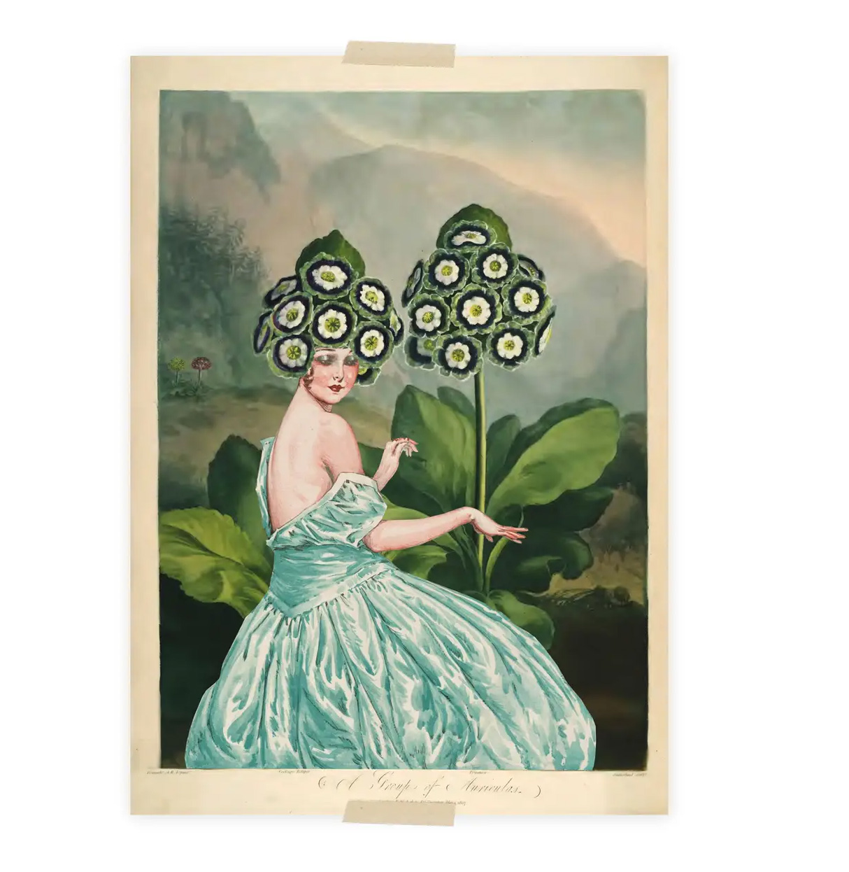Lylies Postkarte Tempel der Flora - Auriculas/Primrose von Lylies