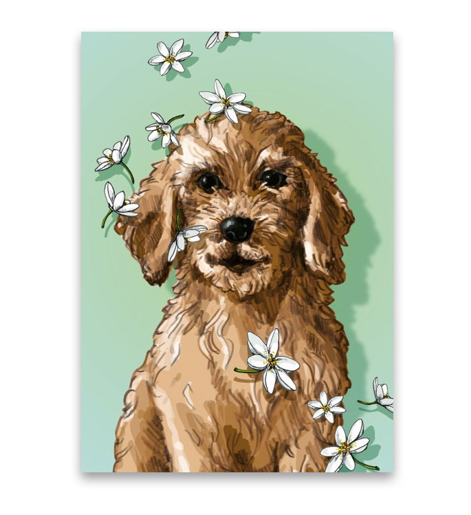 Postkarte TAVO  Hund von illi  