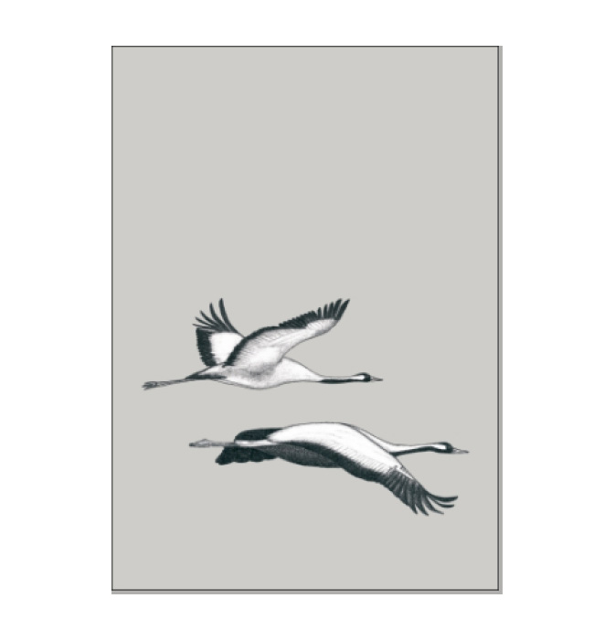 Postkarte Kraniche von ask a duck