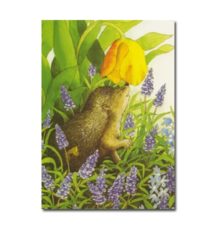 Postkarte "Igel und Traubenhyazinthen" Postkarte von Inge Löök  