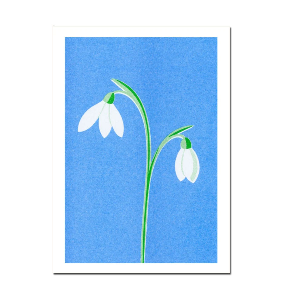 Herr und Frau Rio Postkarte Schneeglöckchen, Risographie Postkarte Frühling