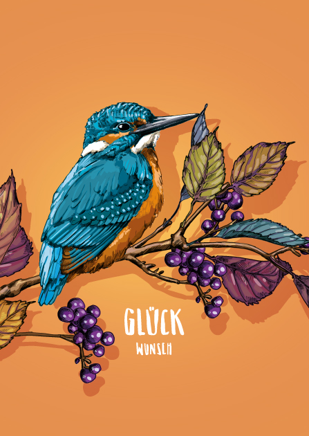 Postkarte INYO Glückwunsch von illi , Holzschliffpappe, Herbst, Eisvogel