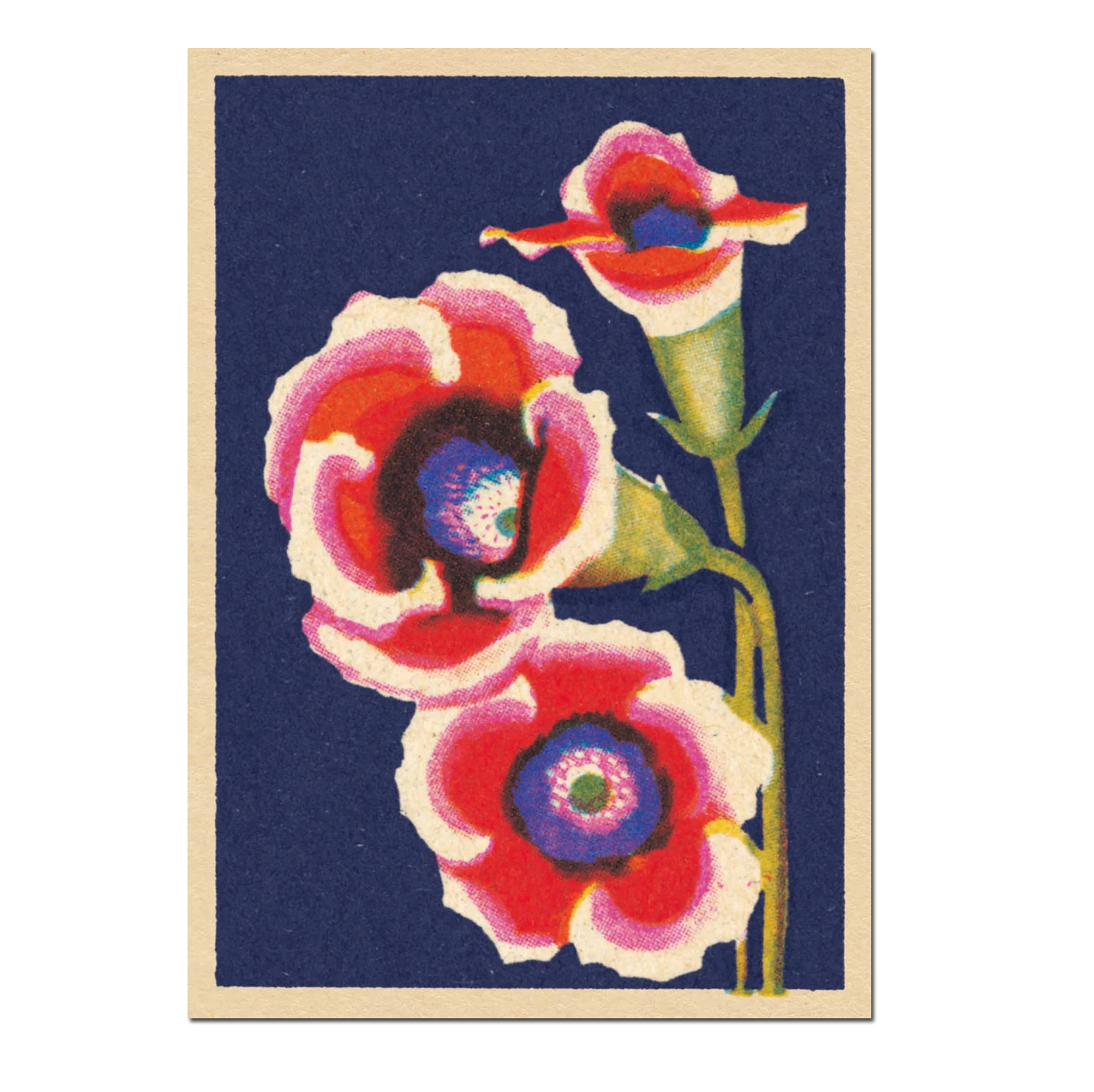 Grußkarte Vintage Matchbox - Blush von von ART PRESS