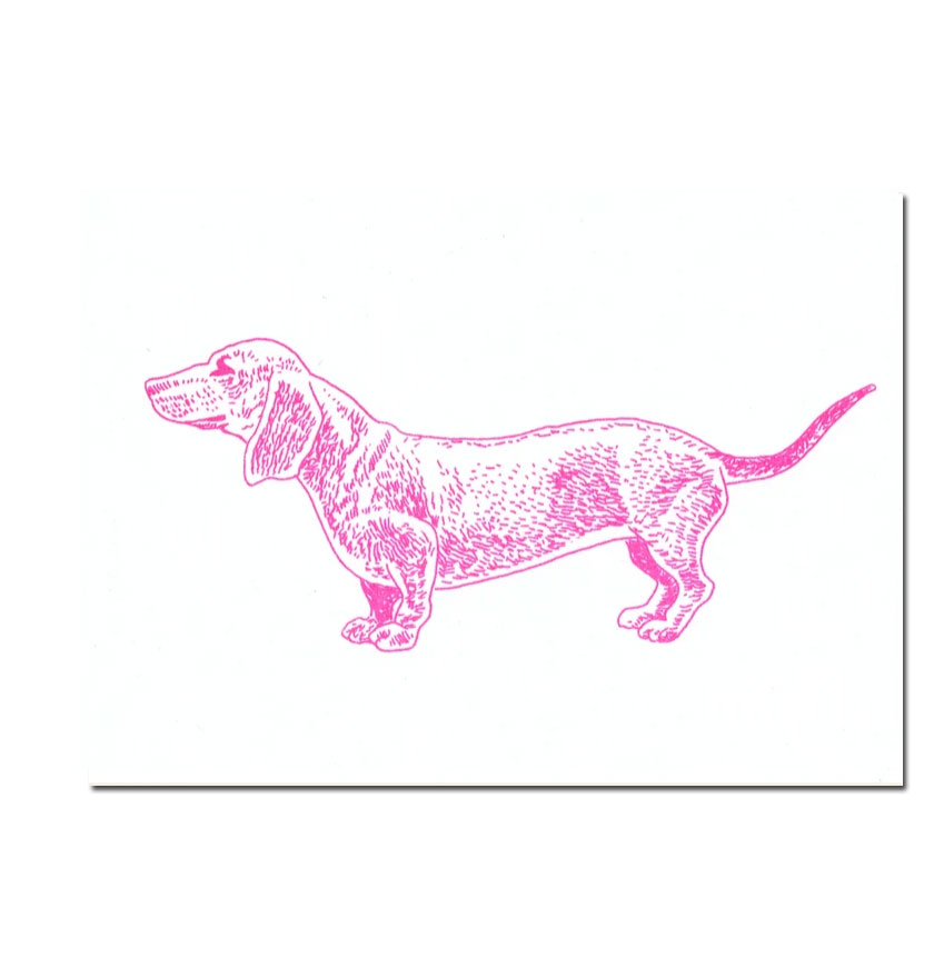 Herr und Frau Rio Postkarte Dackel Fluo-Pink, Risographie Postkarte
