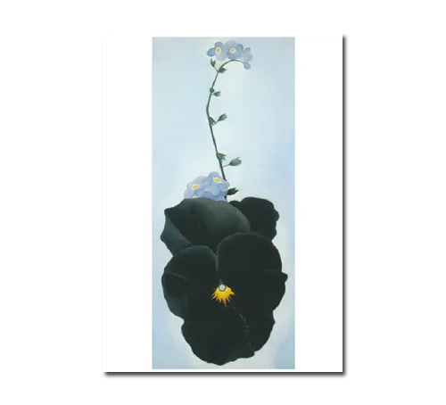 Postkarte Georgia O`Keeffe "Stiefmütterchen, 1926 "  Kunst 