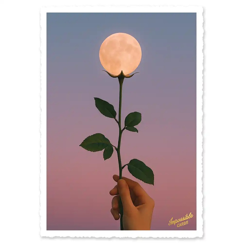 Impossible Card Postkarte *moon rose