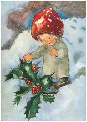 Postkarte Rote Beeren im Winter von Mili Weber, Weihnachten, Winter 