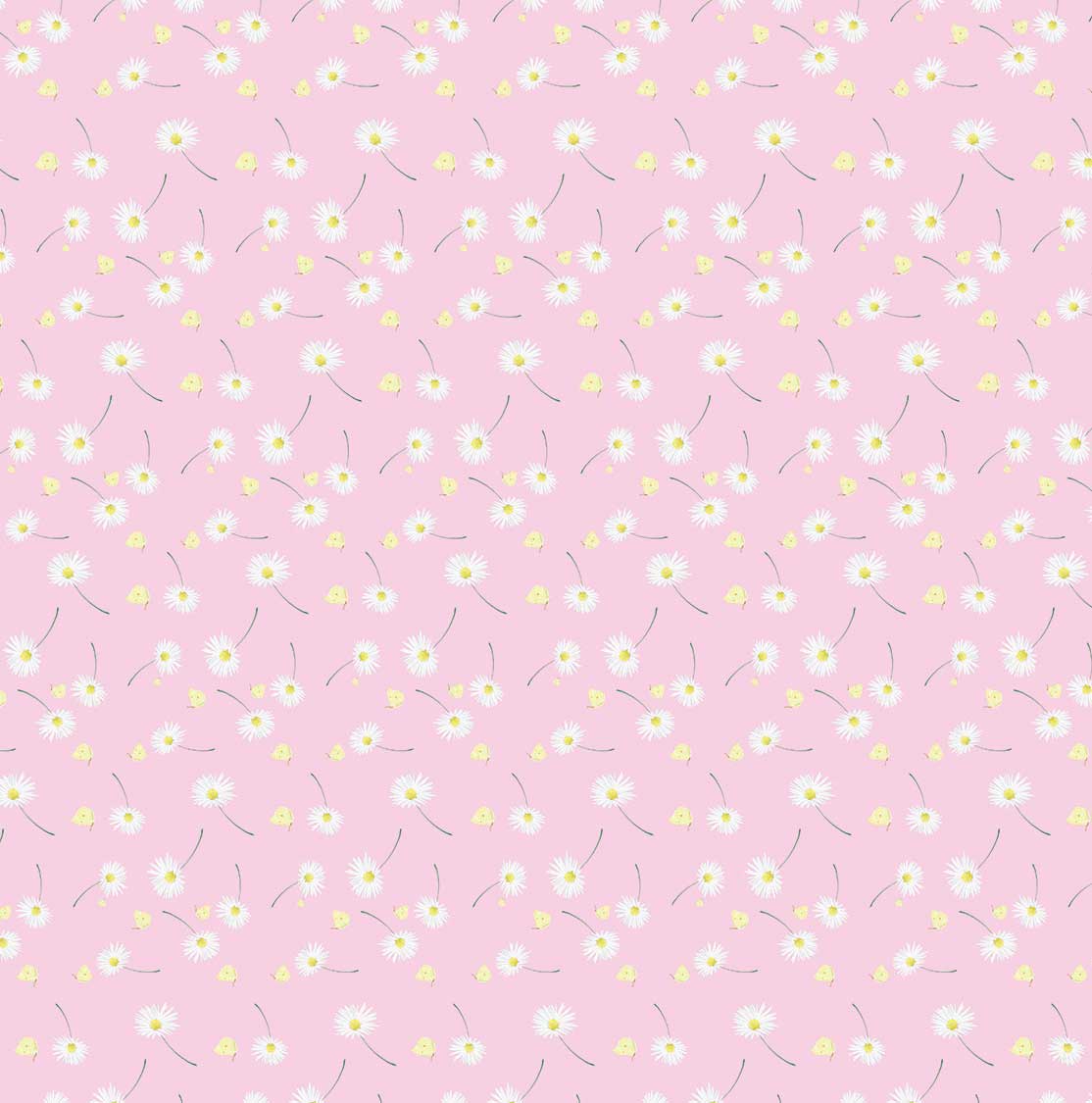 Geschenkpapier Rosa Gänseblümchen, ca. 50 x 70 cm 
