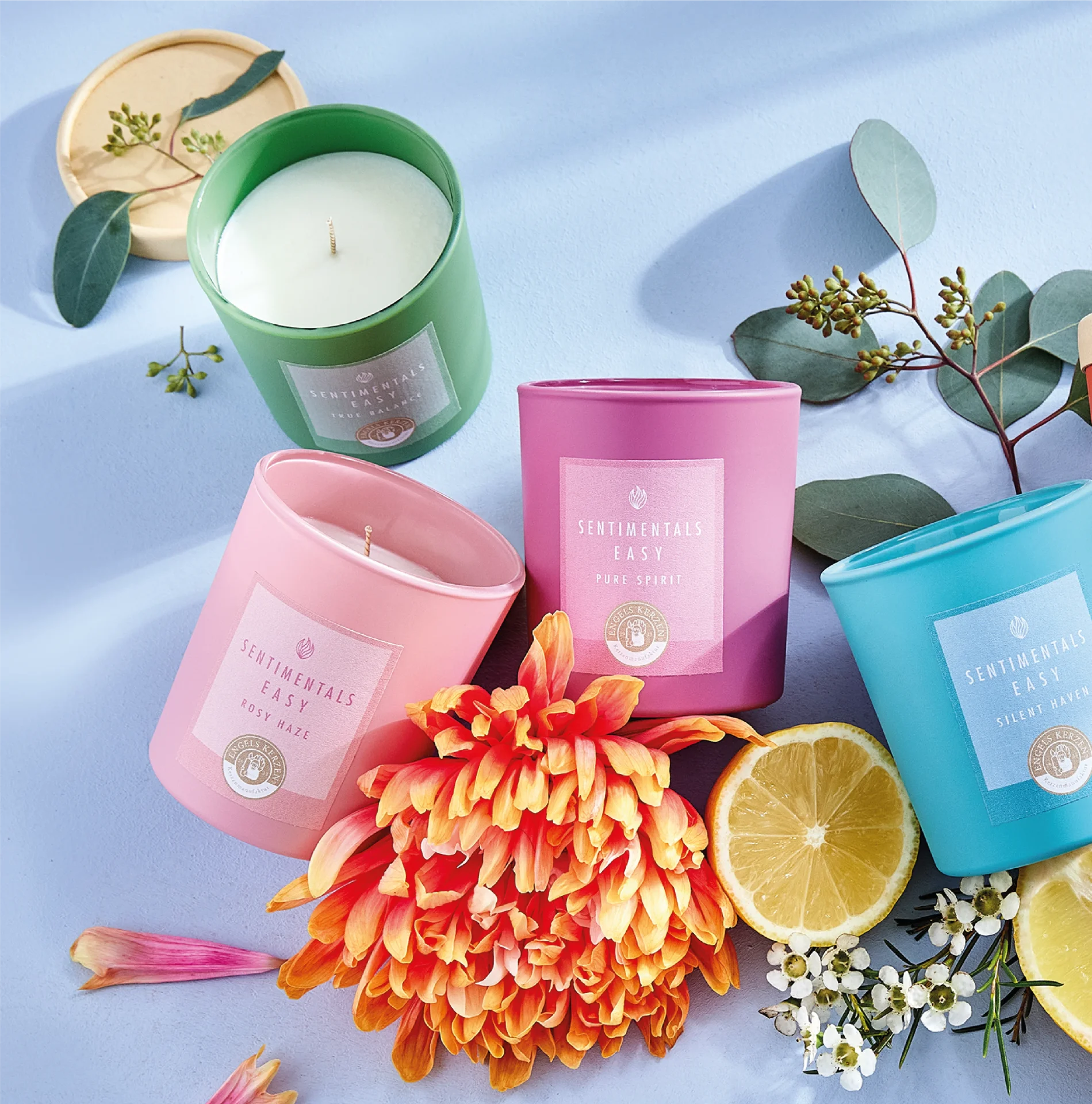 Duftkerze Sentimentals Easy CLEAR HARMONY von Engels Kerzen    