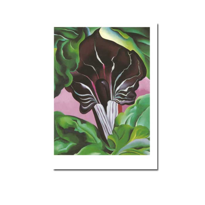 Postkarte Georgia O`Keeffe "Jack-in-the-Pulpit No. II, 1930 "  Kunst 