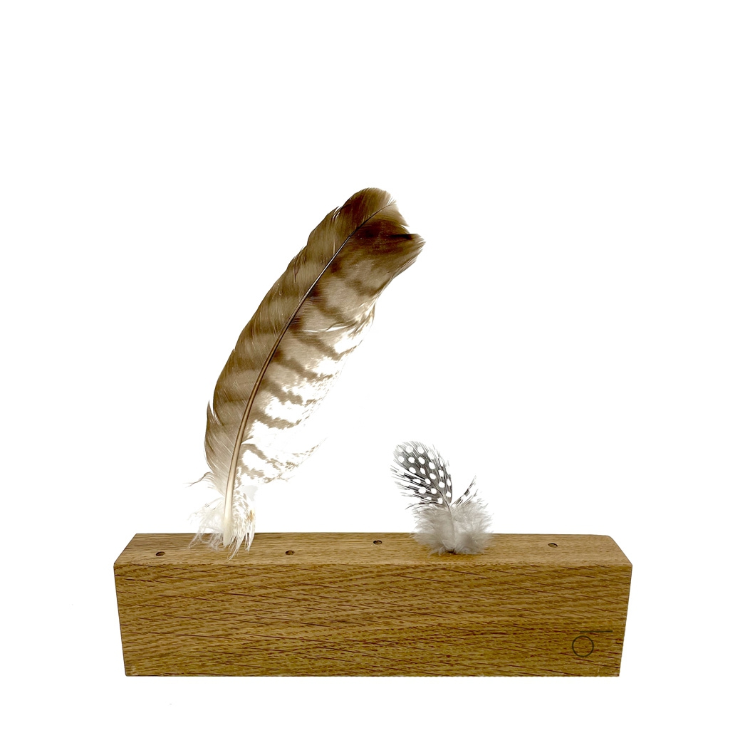 Raumgestalt "Federwiese", Ständer für Federn und Co. aus Eiche geölt, L23,5 cm aus dem Schwarzwald von Raumgestalt 