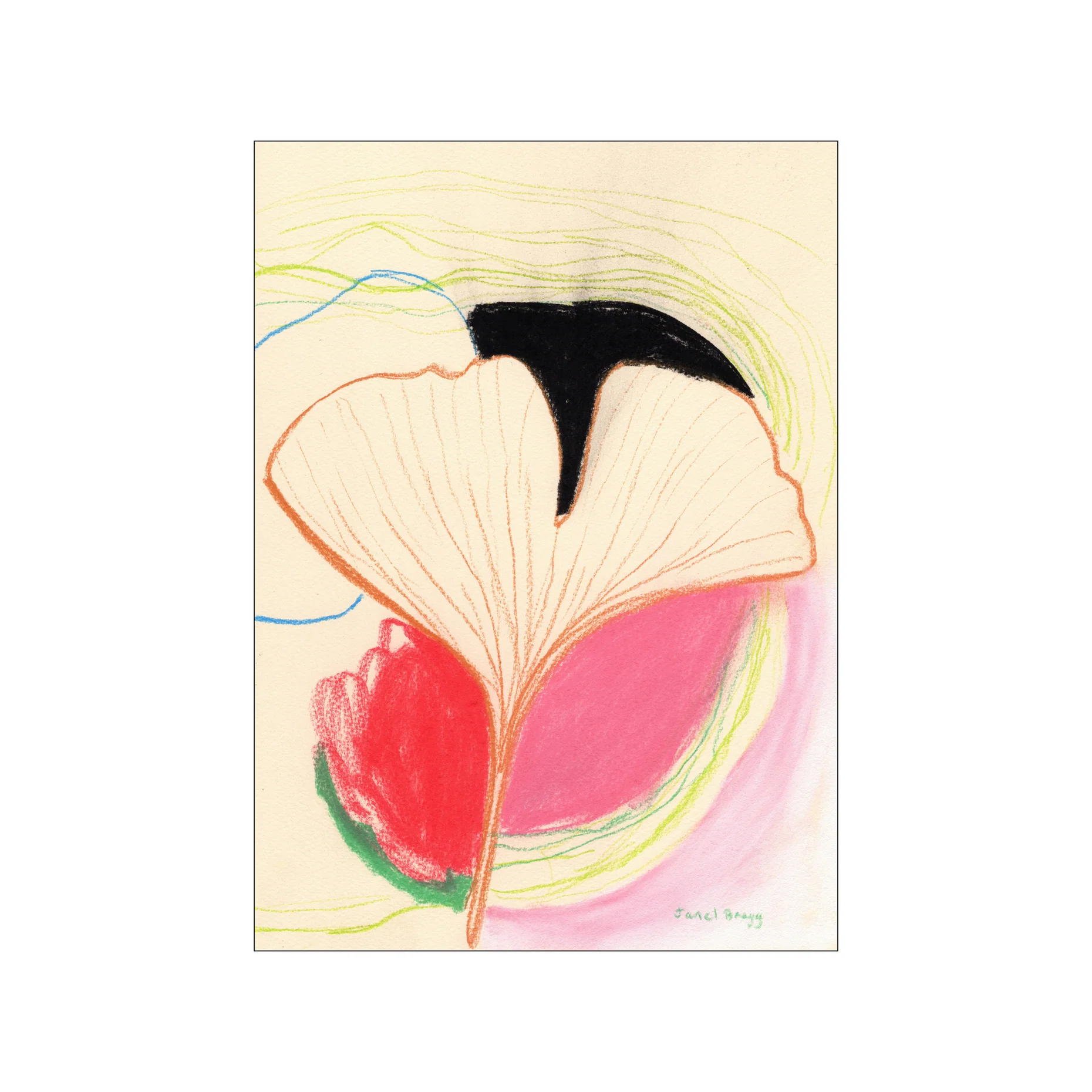 Kunstdruck  30 x 40 cm "Ginkgo Leaves In Color II"     