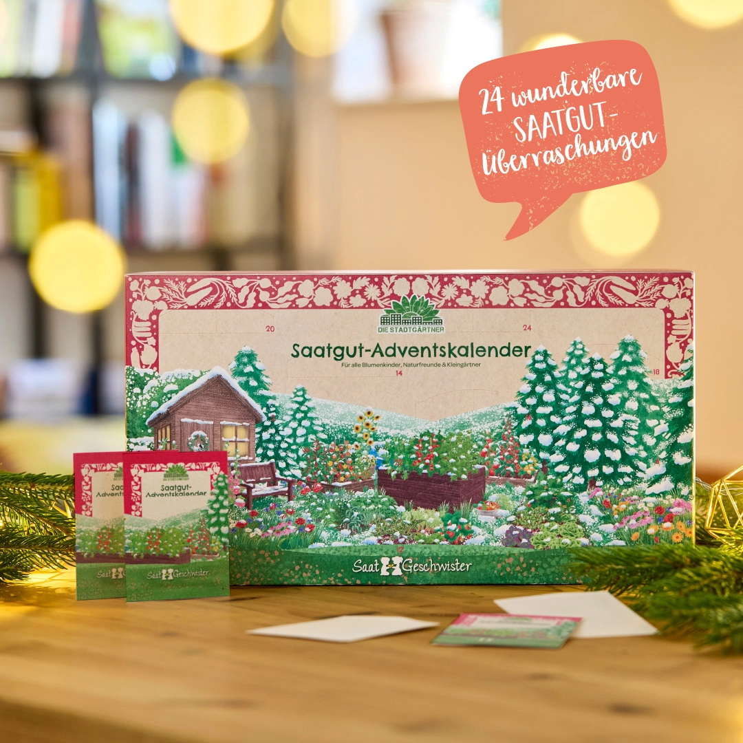 Saatgut-Adventskalender von DIE STADTGÄRTNER  ..eine schöne Geschenkidee für Gartenliebhaber!