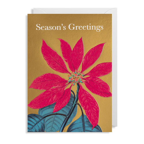 Lagom Doppelkarte  Kew Gardens Merry Christmas "Season's Greetings"