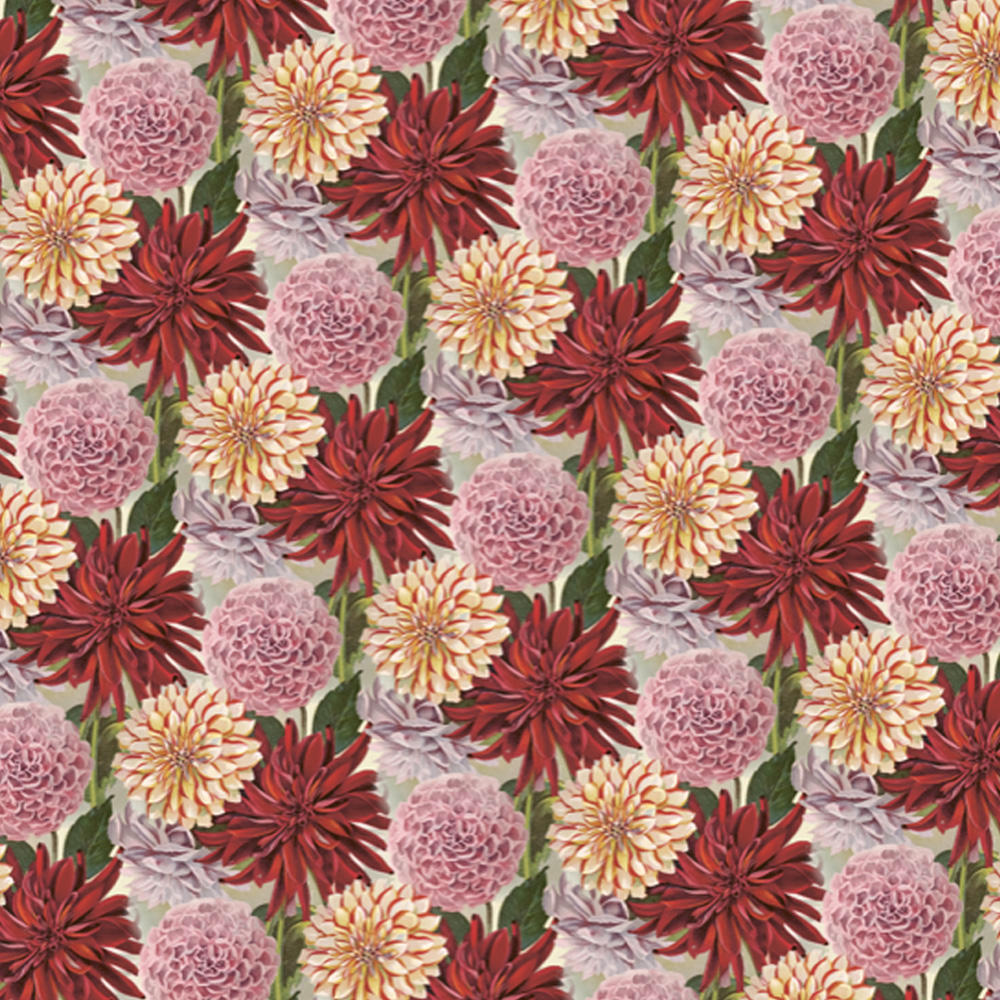 Geschenkpapier Dahlien von Sköna Ting, 1 Papierbogen ca. 50 x 70 cm