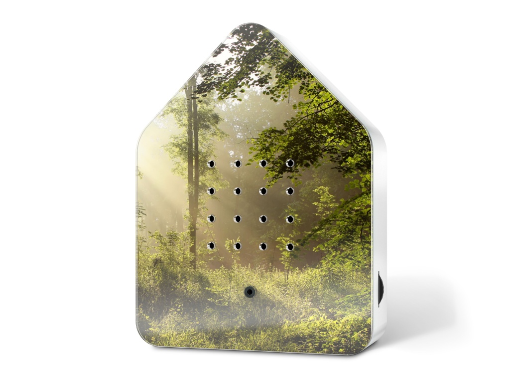 Zwitscherbox Wald/ SUNBEAM von Zwitscherbox  