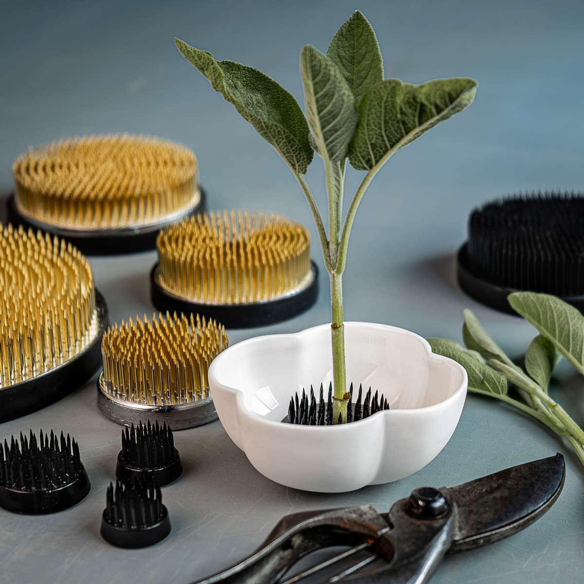 KLATT OBJECTS KENZAN 622 // fein 50 mm // Messing, Ikebana Blumensteckkunst