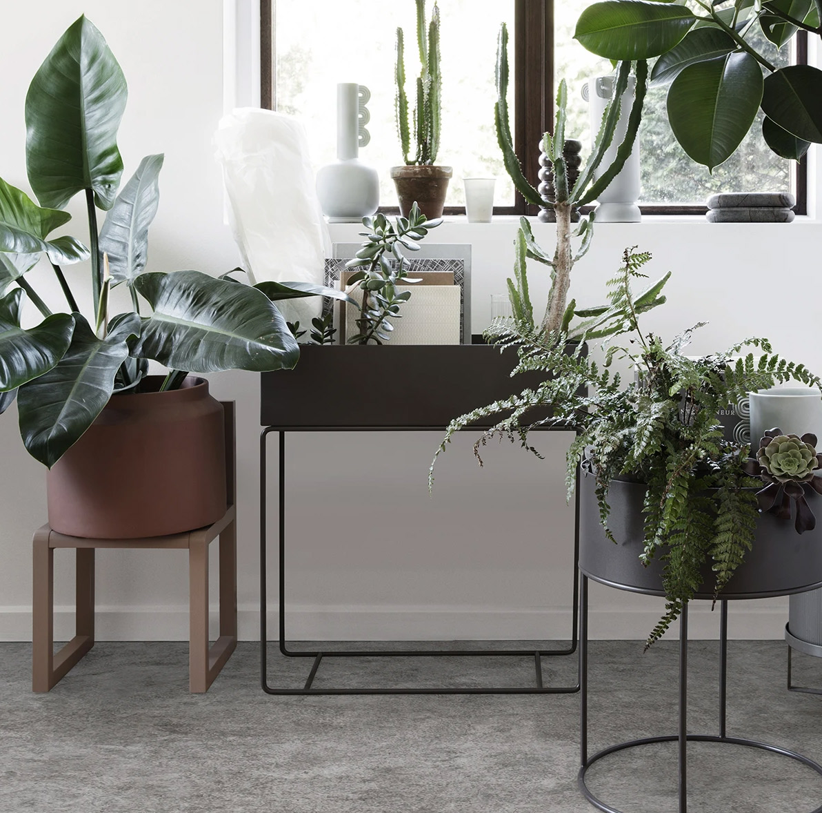 Plant Holder Wandhalterung Schwarz Ferm Living Plant Holder Wandhalterung Schwarz Ferm Living