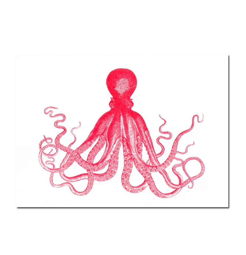 Herr und Frau Rio Postkarte Oktopus, Risographie
