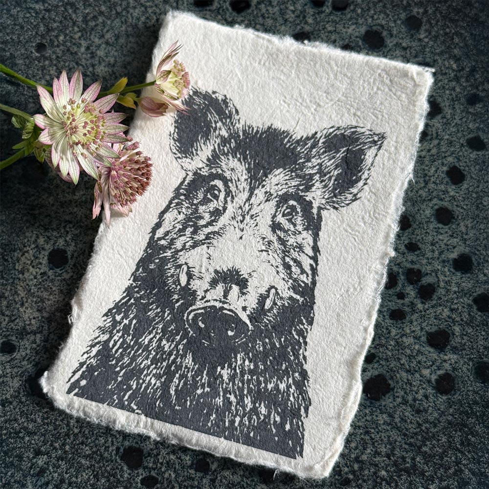 Frohstoff Kunstdruck Keiler, ca. 10,5 x 14,8 cm, handgedruckt