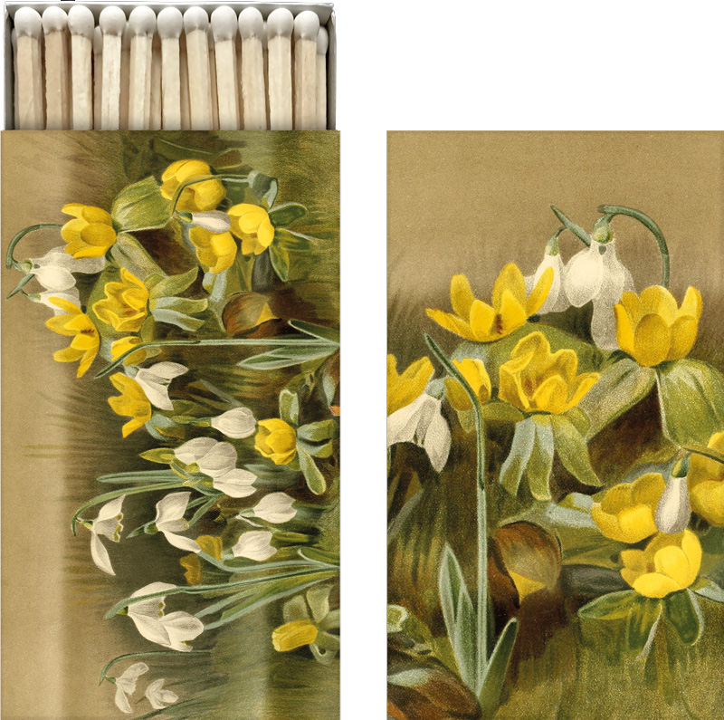 Streichhölzer "Winter aconite & snowdrops" von Sköna Ting, ca.6 x 11 cm    