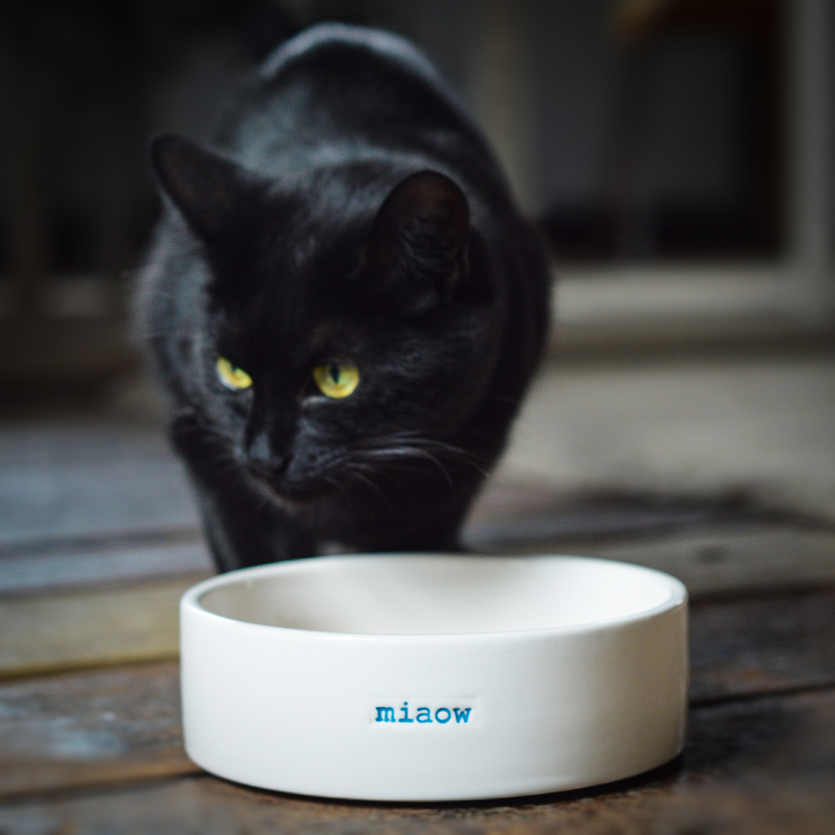 Keith Brymer Jones Katzennapf "MIAOW" , WHITE CERAMIC CAT BOWL – MIAOW