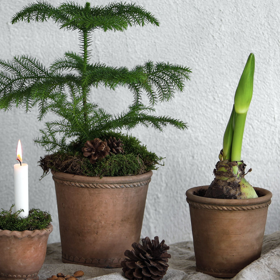 Übertopf TERRA , Größe XL,  D. ca. 20, Höhe ca. 18 cm 