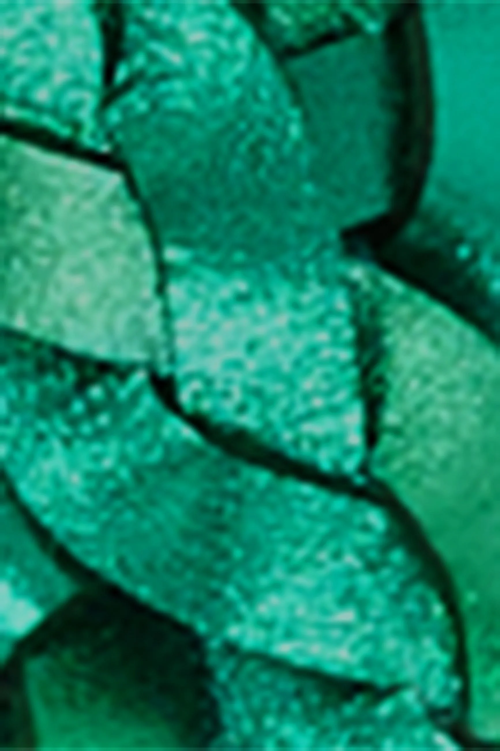 King Louie Gürtel Shiny 2 Tone Belt, Farbe: Ultra Green