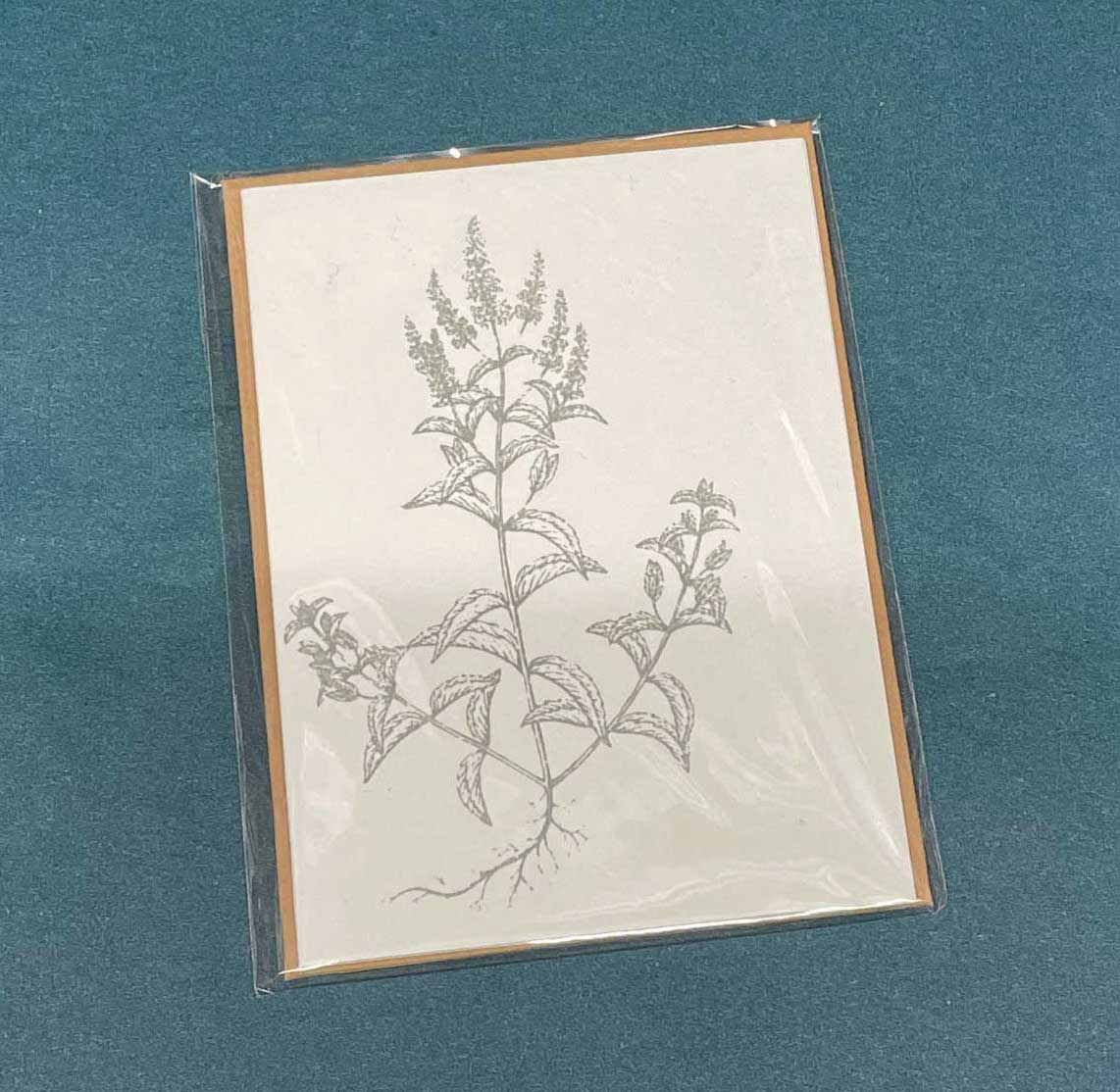 Dorothee Lehnen Briefkarte kl "Minze", handgedruckt  