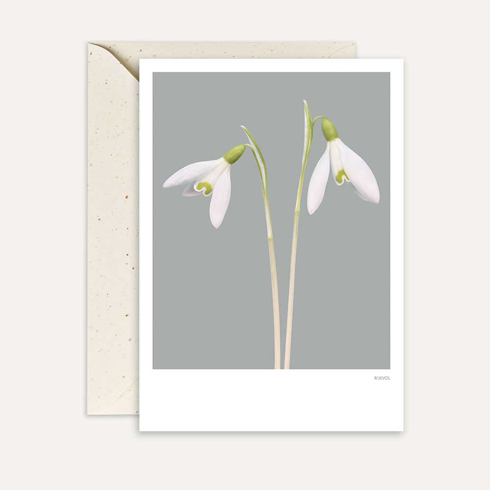 Aufstellkarte -SnowDrop 02, Grau, Schneeglöckchen, Florale Grußkarte mit Umschlag von Studio Rijkvol  