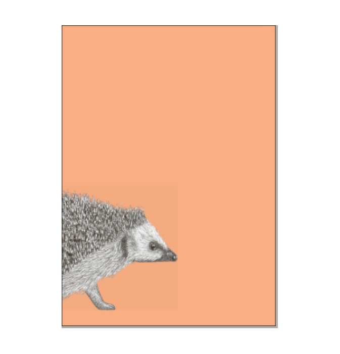 Postkarte Igel von ask a duck   