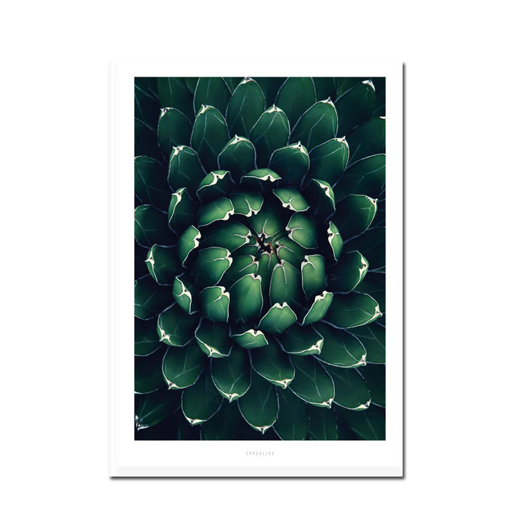 Typealive Postkarte Dschungel" Junglelow No. 12"