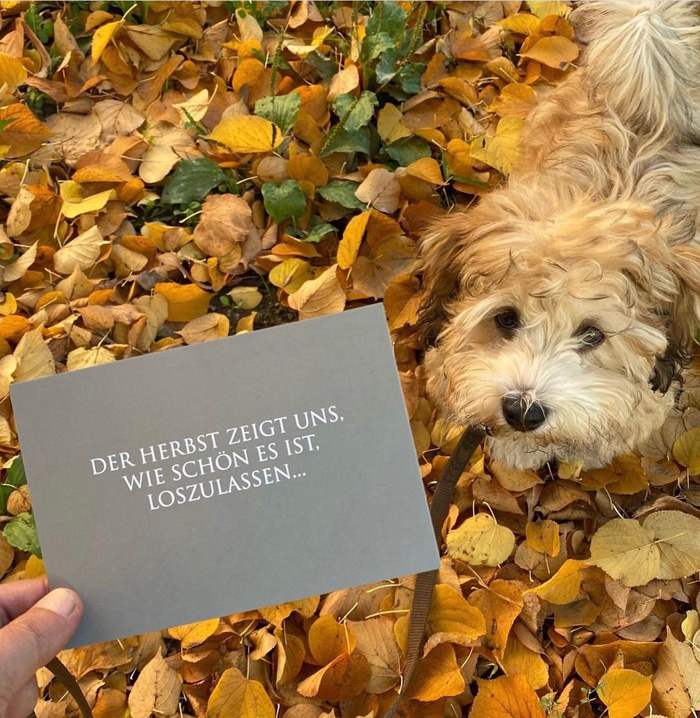 Wunderwort Postkarte "Der Herbst zeigt uns…"