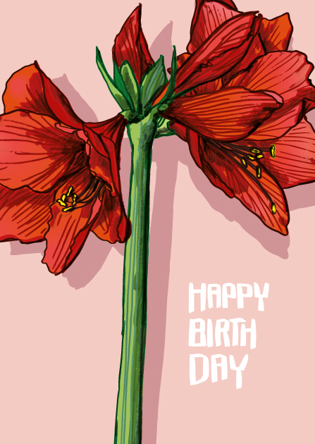 Postkarte AMATA Amaryllis Happy Birthday von illi , Holzschliffpappe  