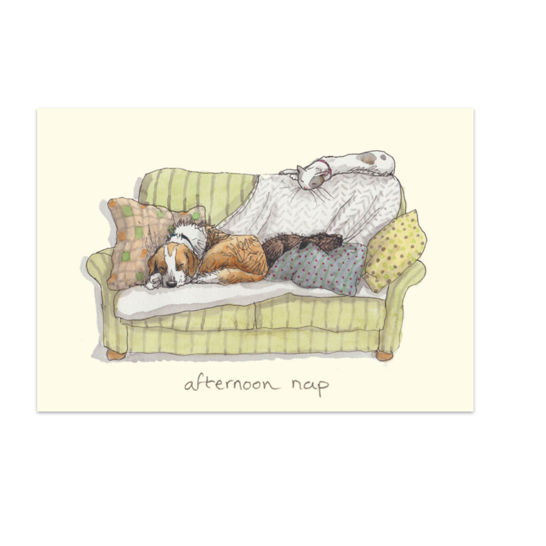 Two Bad Mice Doppelkarte "Afternoon Nap"   von Two Bad Mice von Anita Jeram, Hunde und Katze
