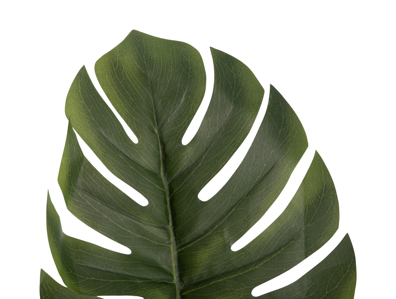 % Deko-Monstera-Zweig, ca. 61 x 25 cm, dunkelgrün, Kunststoff